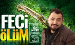Üzerine ağaç devrilen orman işçisi 75 gün sonra hayatını kaybetti