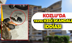 Kozlu'da yavru kedi skandalı iddiası