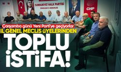 Zonguldak CHP'de istifa dalgası sürüyor: İl Genel Meclis Üyeleri ayrıldı
