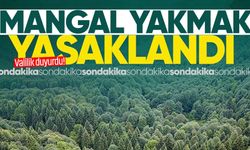 Zonguldak Valiliği duyurdu: Ormanlarda ateş, mangal yakmak yasaklandı!