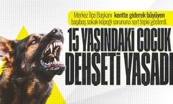Zonguldak'ta köpek dehş*ti: 15 yaşındaki çocuk ölümden döndü