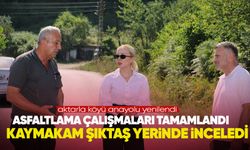 Asfaltlama çalışmaları tamamlandı: Kaymakam Şıktaş yerinde inceledi