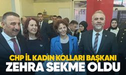 CHP İl Kadın Kolları Başkanı Zehra Sekme oldu