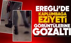 Ereğli'de kaplumbağa ez*yeti görüntülerine gözaltı