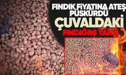 Fındık fiyatına ateş püskürdü: Çuvaldaki fındığını yaktı