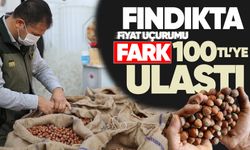 Fındıkta fiyat uçurumu: Fark 100 TL'ye ulaştı