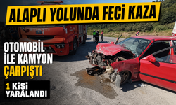 Alaplı yolunda feci kaza: 1 kişi yaralandı