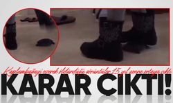 Kaplumbağayı ayağıyla ezdiği görüntülerle gözaltına alınan kadın hakkında karar çıktı