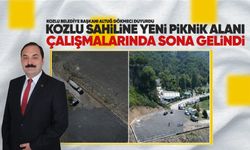 Kozlu sahiline yeni piknik alanı çalışmalarında sona gelindi