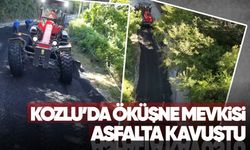 Kozlu’da Öküşne mevkisi asfalta kavuştu