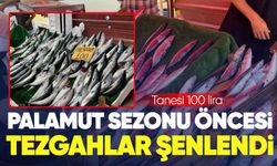 Palamut sezonu öncesi tezgahlar şenlendi