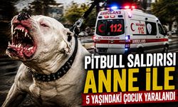 Pitbull saldırısı anne ile 5 yaşındaki çocuk yaralandı