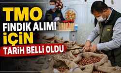 TMO fındık alımı için tarih belli oldu