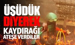 “Üşüdük” diyerek kaydırağı ateşe verdiler