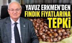 Yavuz Erkmen’den fındık fiyatlarına tepki