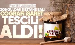 Zonguldak kestane balı artık coğrafi işaretli