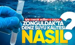Zonguldak’ ta deniz suyu kalitesi nasıl? İşte merak edilen o rapor...