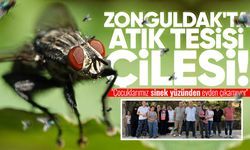 Zonguldak'ta atık tesisi çilesi: "Çocuklarımız sinek yüzünden evden çıkamıyor"