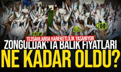 Zonguldak'ta balık fiyatları ne kadar oldu?