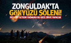 Zonguldak'ta gökyüzü şöleni! Perseid meteor yağmuru bu gece zirve yapacak