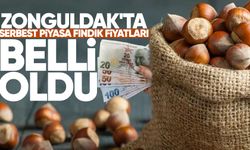 Zonguldak'ta serbest piyasa fındık fiyatları belli oldu