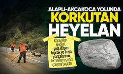 Alaplı-Akçakoca yolunda heyelan