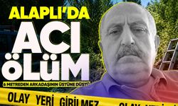 Ağaca çıkan Neşet Yılmaz, merdiveni tutan arkadaşının üzerine düştü: 1 ölü 1 ağır yaralı