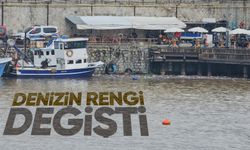 Derelerden akan çamur denizin rengini değiştirdi