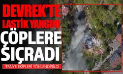 Devrek’te lastik yangını çöplere sıçradı