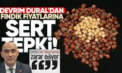 Devrim Dural'dan fındık fiyatlarına sert tepki: “Üretici her kilogramda zarar ediyor”