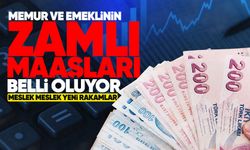 Memur ve emeklinin zamlı maaşları belli oluyor: Meslek meslek yeni rakamlar