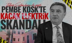 Pembe Köşk'te kaçak elektrik kullanan Zonguldak Belediyesi para cezası yedi