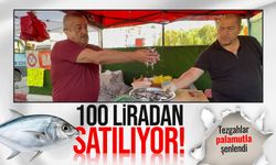Tezgahlar palamutla şenlendi: 100 liradan satılıyor