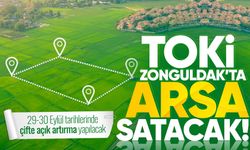 TOKİ, Zonguldak'ta arsa satacak