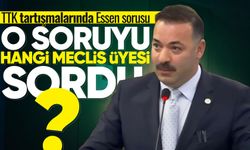 TTK tartışmalarında Essen sorusu: Hangi meclis üyesi sordu?