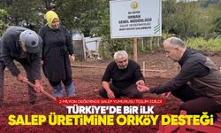 Türkiye’de bir ilk Devrek’te: Salep üretimine ORKÖY desteği