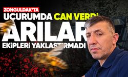 Uçurumdaki kazada can verdi: Arılar ekipleri yaklaştırmadı