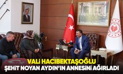 Vali Hacıbektaşoğlu Şehit Noyan Aydın’ın annesini ağırladı