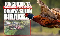 Zonguldak'ta yaban hayatını desteklemek için doğaya sülün bırakıldı