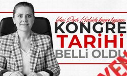 Yeni Parti Kozlu’da kongre heyecanı: Tarih belli oldu