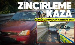 Zonguldak'ta köpeğe çarpmamak için fren yapan araca zincirleme kaza: 5 yaralı