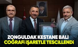 Zonguldak Kestane Balı coğrafi işaretle tescillendi