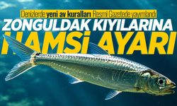 Zonguldak kıyılarına hamsi ayarı: Denizlerde yeni av kuralları Resmi Gazetede yayımlandı