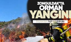 Zonguldak'ta orman yangını: Ekipler alevlerle mücadele ediyor