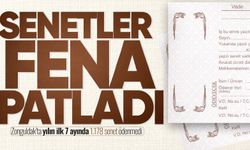 Zonguldak'ta senetler fena patladı: Yılın ilk 7 ayında durum vahim!