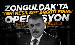 Zonguldak'ta 'yeni nesil suç örgütlerine' operasyon