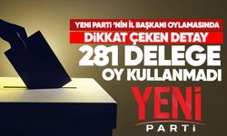 Yeni Parti’nin il başkanı oylamasında dikkat çeken detay: 281 delege oy kullanmadı