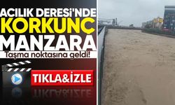 Acılık Deresi'nde korkunç manzara: Taşma noktasına geldi!