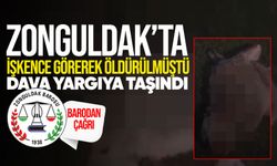 Zonguldak'ta işkence görerek öldürülen hayvan davası yargıya taşındı: Barodan duruşmaya katılım çağrısı