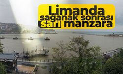 Limanda sağanak sonrası sarı manzara